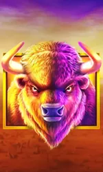 Buffalo King